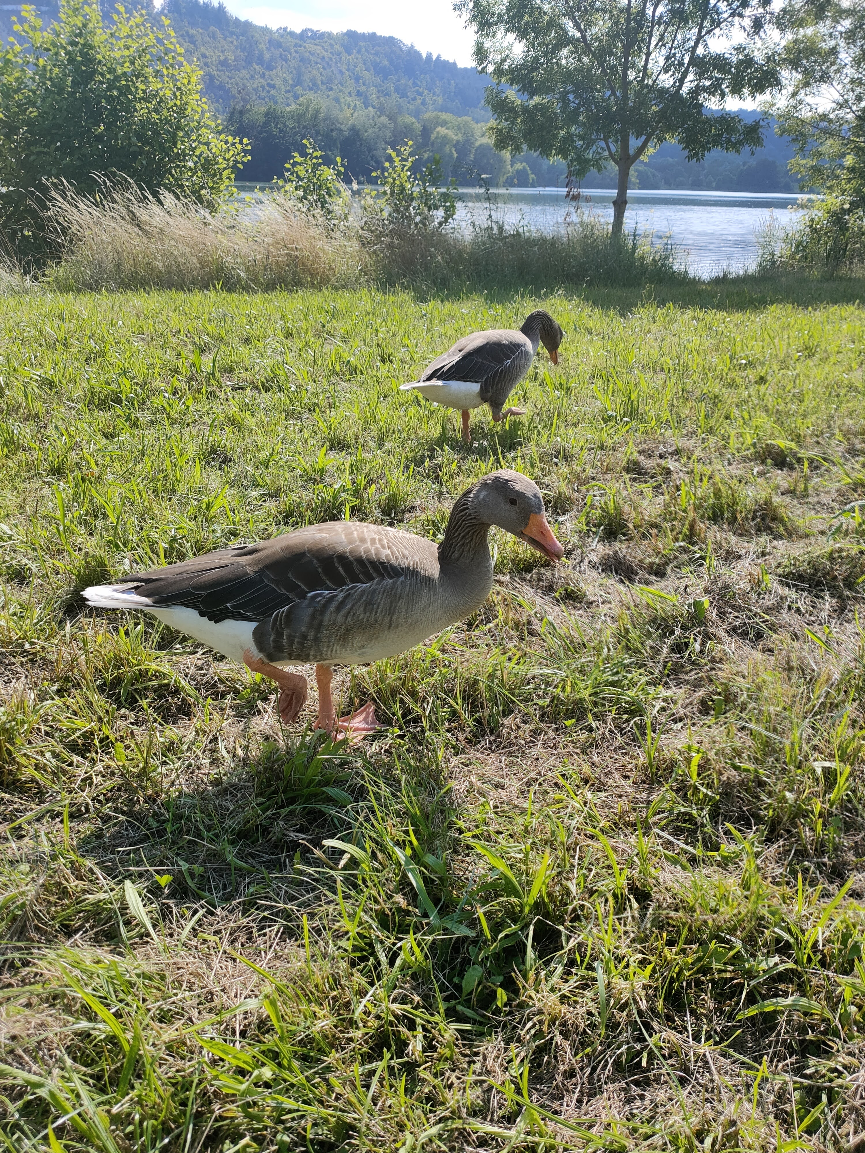 Photo n° 18 de l'avis de Karen.u fait le 18/07/2021 à 21:38
