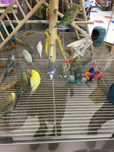 Pet Supply Store «Petco», reviews and photos, 1851 Sunrise Hwy, Bay Shore, NY 11706, USA