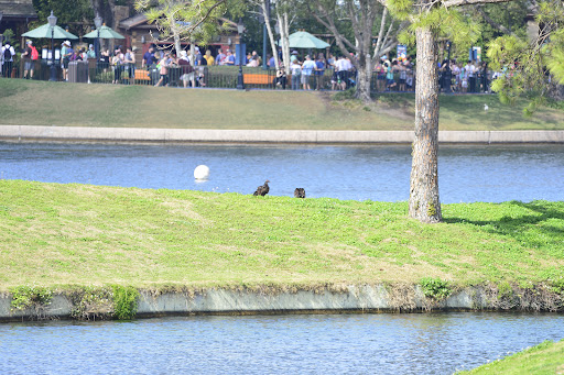 Theme Park «Epcot», reviews and photos, 200 Epcot Center Dr, Orlando, FL 32821, USA