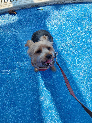 Water Park «Bedford Splash», reviews and photos, 2801 Forest Ridge Dr, Bedford, TX 76021, USA