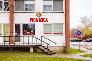 PICA MICA image