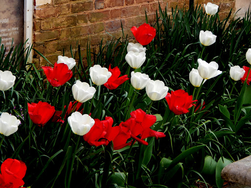 Museum «Kenmore», reviews and photos, 1201 Washington Ave, Fredericksburg, VA 22401, USA