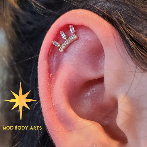 Explore the crow tattoo ideas, creative tattoo ideas in Denver, available at Mod Body Arts