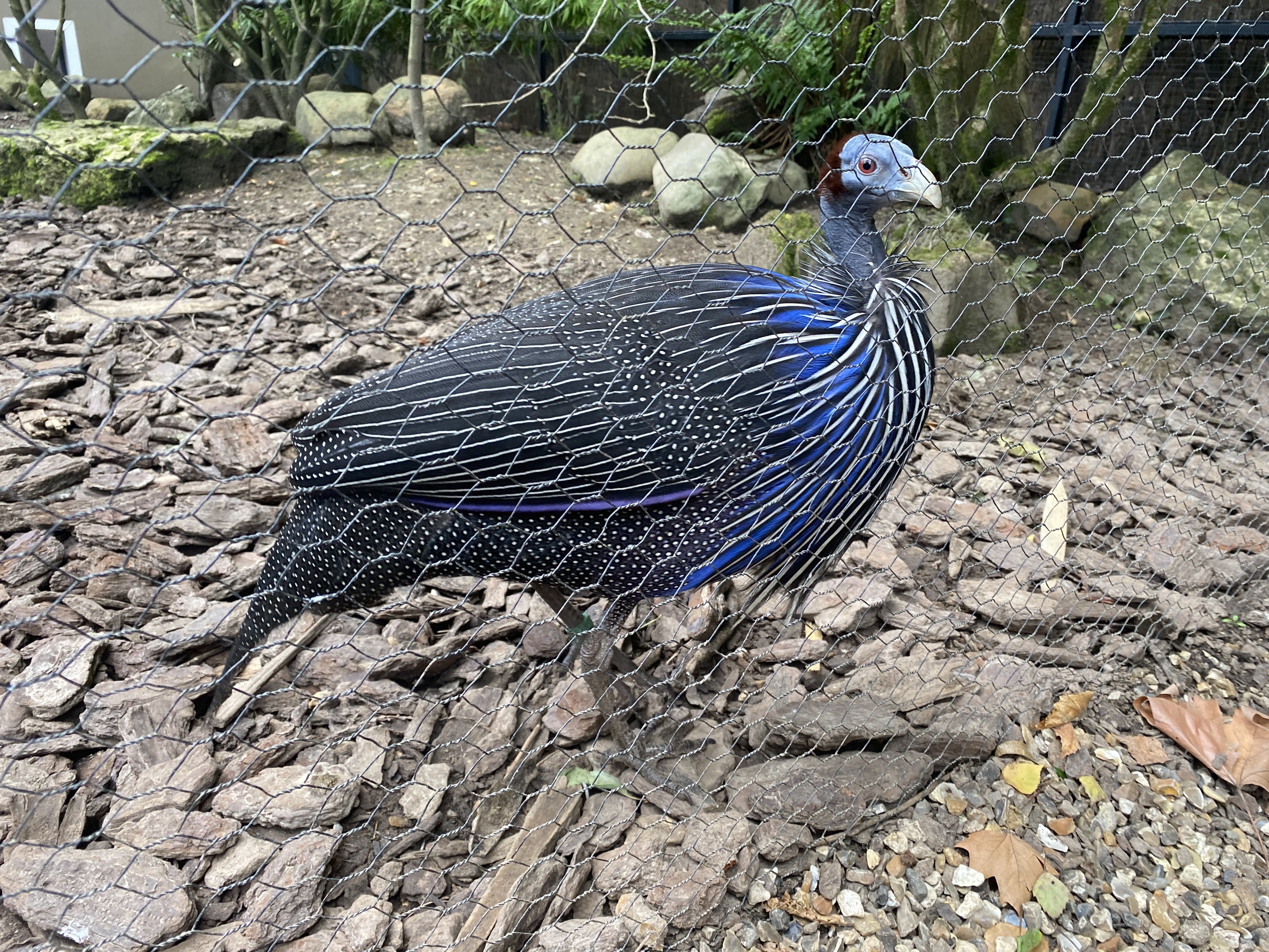 Photo n° 38 de l'avis de Mickael.e fait le 11/08/2023 à 05:54