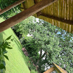 Photo n°7 de l'avis de Claudia.t fait le 09/06/2023 à 16:17 sur le  Osteria Enoteca San Guido à Bolgheri