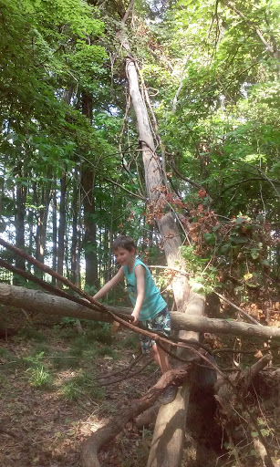 Golf Club «Eagle Creek Golf Club», reviews and photos, 8802 W 56th St, Indianapolis, IN 46234, USA