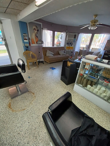 Grocery Store «Los Laureles Supermarket», reviews and photos, 1910 SW 1st St, Miami, FL 33135, USA