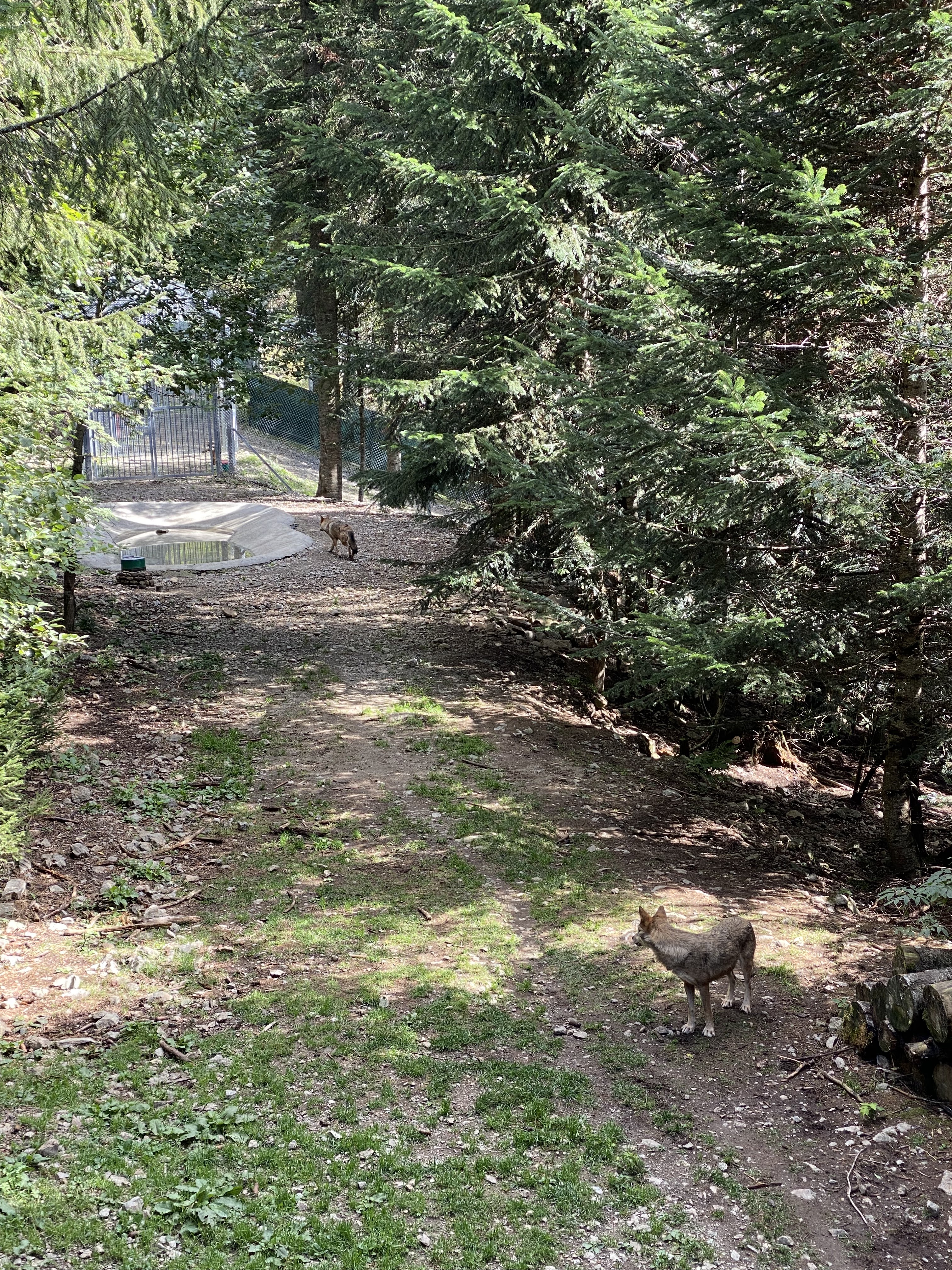 Photo n° 3 de l'avis de Karine.L fait le 01/10/2023 à 09:50