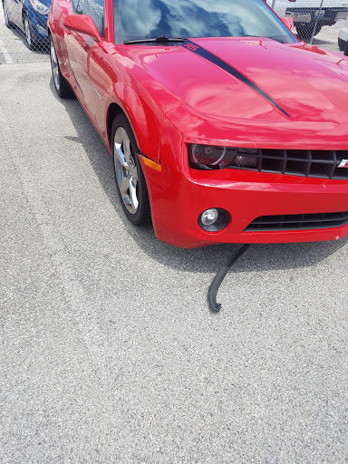 Auto Repair Shop «Oxmoor Collision Repair Center», reviews and photos, 11505 Electron Dr, Louisville, KY 40299, USA