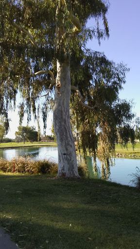 Golf Club «Toka Sticks Golf Club», reviews and photos, 6910 E Williams Field Rd, Mesa, AZ 85212, USA