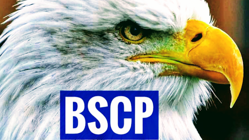 BSCP BARCELONA SEGURIDAD Y CONTROL DE PLAGAS