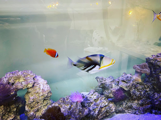 Explore ideas for small tattoos for guys, creative tattoo ideas in Cary, available at Fine Art Body Piercing By Lilith Mae