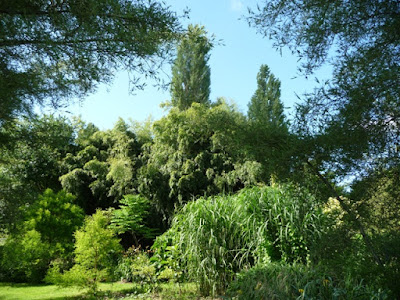 Le Clos de Saint Saturnin à Saint-Saturnin