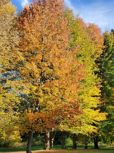 Golf Course «Bello Woods Golf Course», reviews and photos, 23650 23 Mile Rd, Macomb, MI 48042, USA