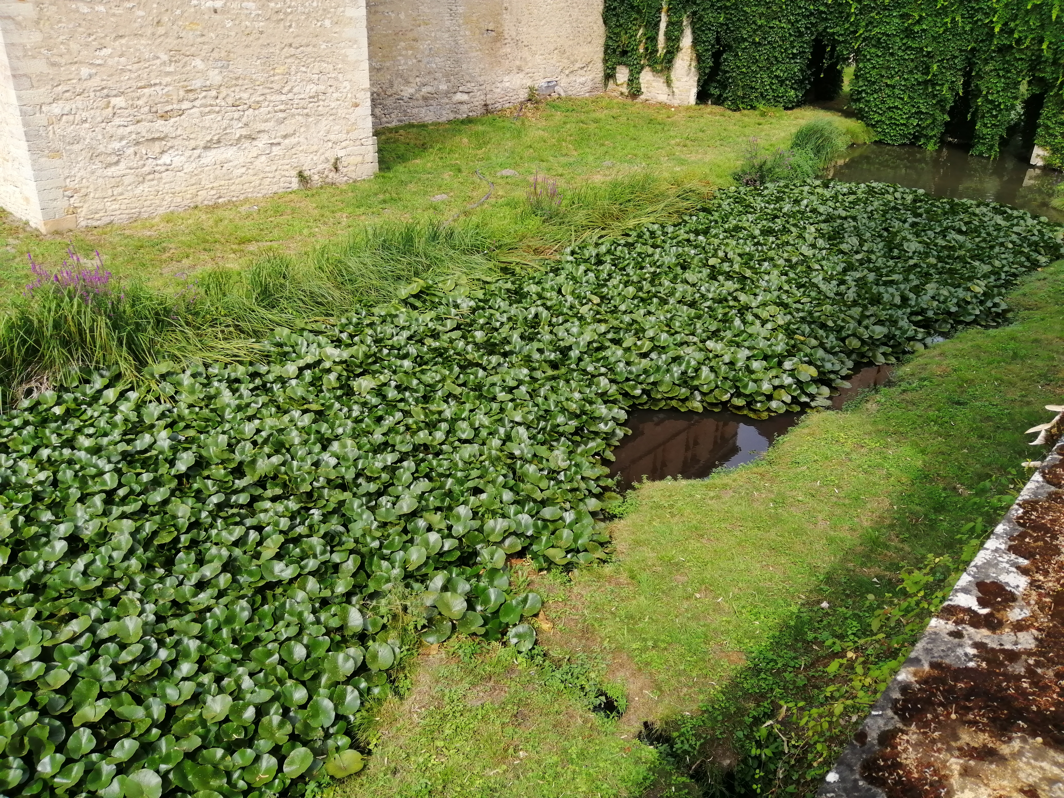 Photo n° 1 de l'avis de cyril.a fait le 26/07/2020 à 16:07