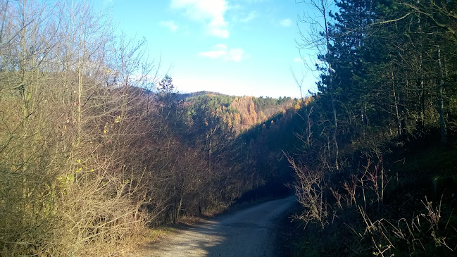 Komentáre a hodnotenia Rekreačný areál Sásovská dolina