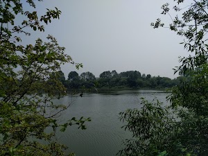 Tukwila Pond Park - photo 81