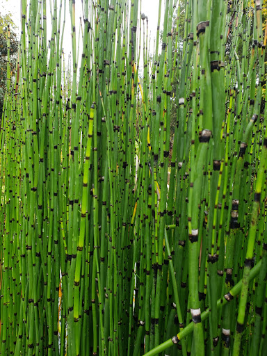 Art Gallery «Hudgens Center For the Arts», reviews and photos, 6400 Sugarloaf Pkwy #300, Duluth, GA 30097, USA