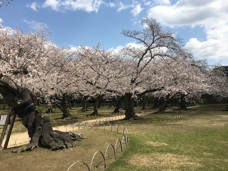 苦楽園公園