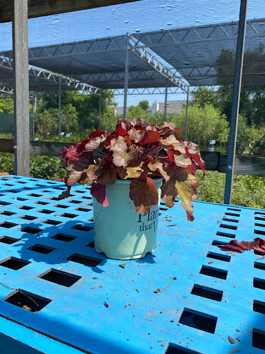 Landscaping Supply Store «Kirkwood Gardens», reviews and photos, 2701 Barrett Station Rd, Ballwin, MO 63021, USA