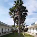 Photo n°2 de l'avis de Annunziata.e fait le 15/10/2023 à 14:01 sur le  FRUIT VILLAGE PAESTUM Coral Beach à Capaccio Paestum