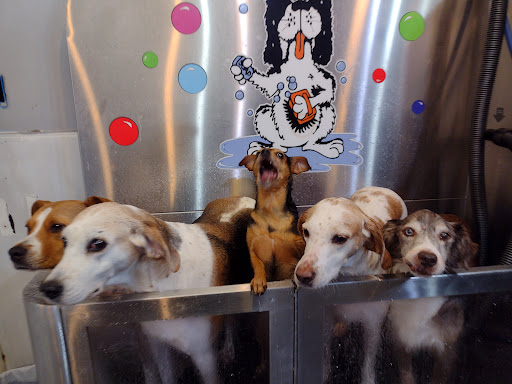 Belly scRubs Self Service Pet Wash, 119 WV-34 #1, Hurricane, WV 25526, USA, 