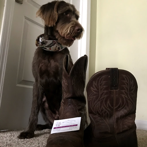 Bev's Diamonds In The Ruff Grooming