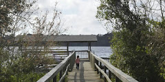 Trout Lake Nature Center