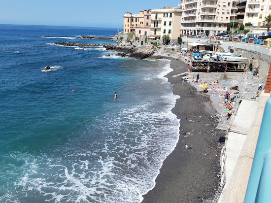 Barracuda Beach