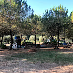Photo n°2 de l'avis de Giorgia.u fait le 06/08/2020 à 13:08 sur le  Agricamping area di sosta camper Poggio ai Pini à Certaldo