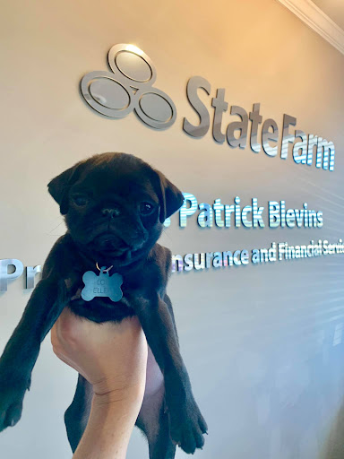Insurance Agency «Patrick Blevins - State Farm Insurance Agent», reviews and photos