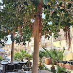 Photo n°8 de l'avis de Pepitinlove. fait le 16/11/2023 à 19:33 sur le  Ristorante Profumi di Cous Cous à San Vito Lo Capo