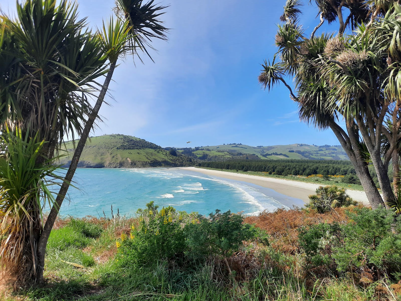 Purakaunui Beach'in fotoğrafı düz ve uzun ile birlikte