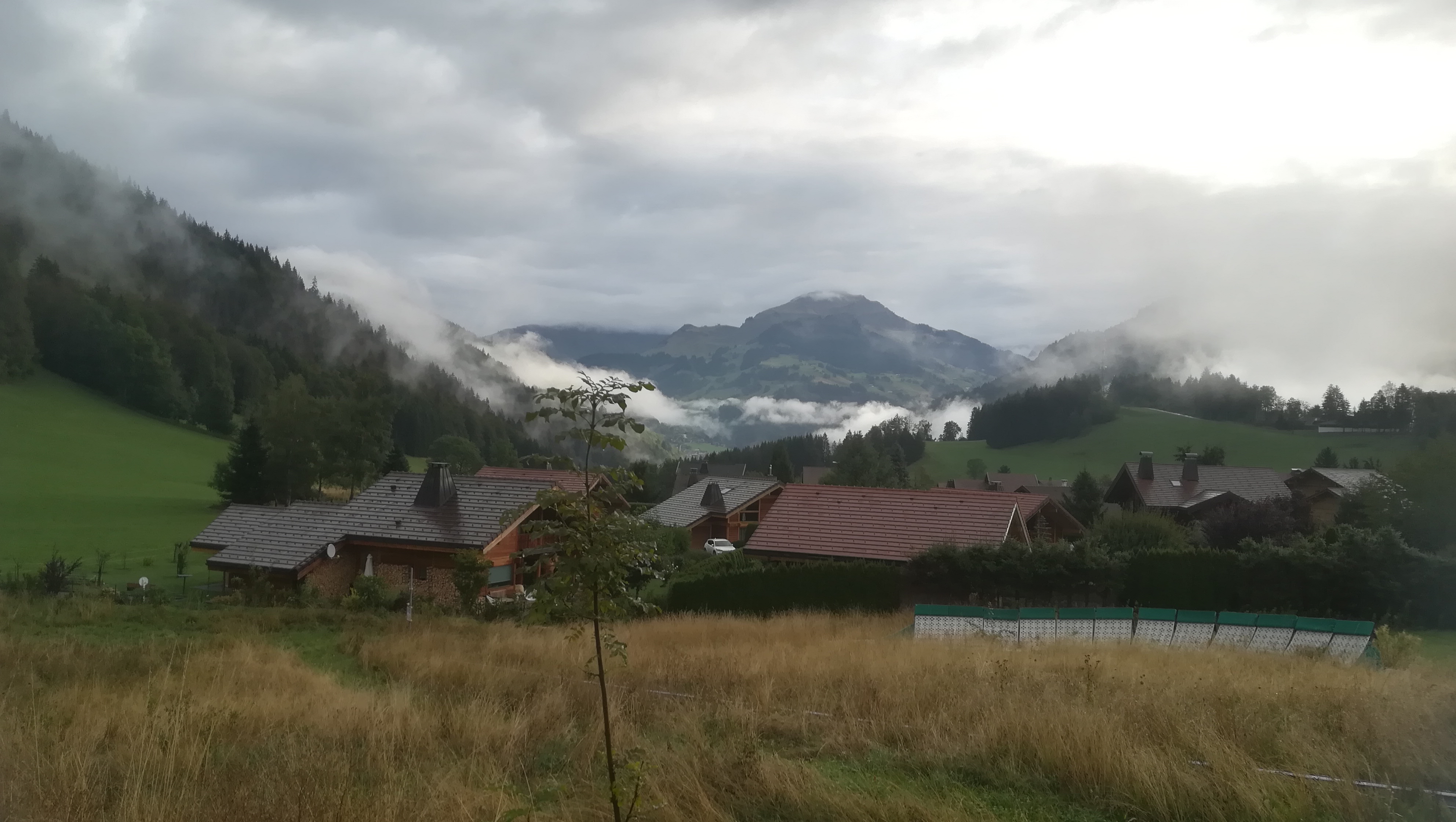 Photo n° 1 de l'avis de amparo.a fait le 20/09/2023 à 04:47