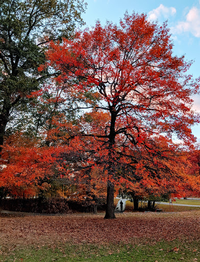 Park «Veterans Memorial Park», reviews and photos, 6328 State Road, Parma, OH 44134, USA