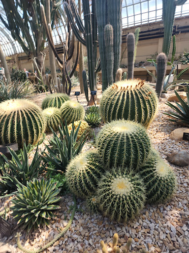 Park «Garfield Park Conservatory», reviews and photos, 300 N Central Park Ave, Chicago, IL 60624, USA