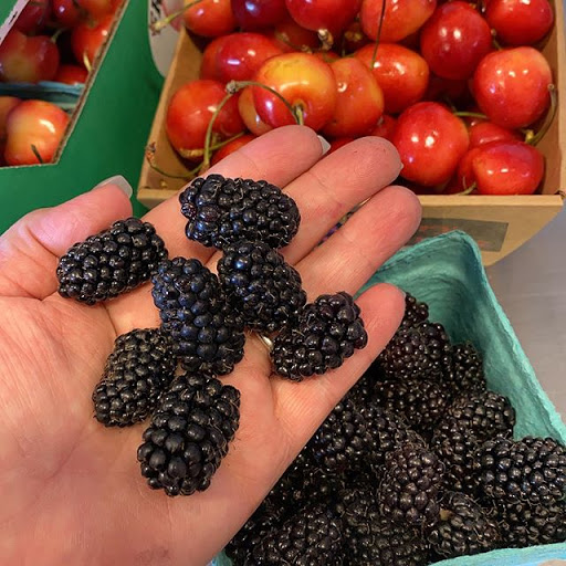 Produce Market «Boones Ferry Berry Farms», reviews and photos, 19602 NE Boones Ferry Rd, Hubbard, OR 97032, USA