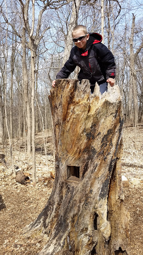 Nature Preserve «Hidden Oaks Conservation Area», reviews and photos, 419 Trout Farm Rd, Bolingbrook, IL 60440, USA