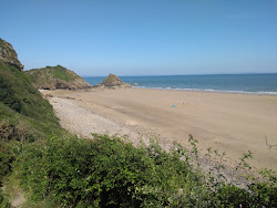 Φωτογραφία του Monkstone beach άγρια περιοχή