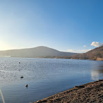 Photo n°15 de l'avis de Marcello.u fait le 16/12/2023 à 22:55 sur le  La Bella Venere - Lake Resort à Caprarola