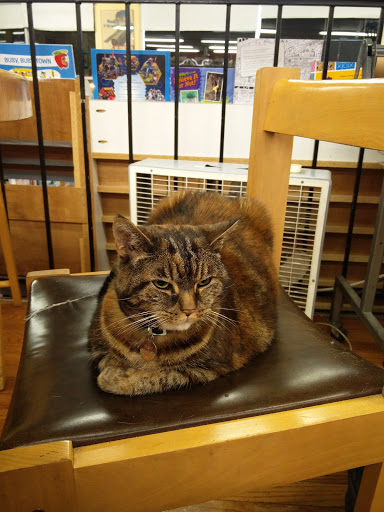 Book Store «Pegasus Books Downtown», reviews and photos, 2349 Shattuck Ave, Berkeley, CA 94704, USA