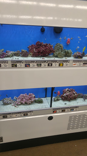 Pet Supply Store «Petco Animal Supplies», reviews and photos, 1310 Tingle Cir E b, Mobile, AL 36606, USA