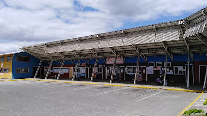 Terminal Pitrufquen
