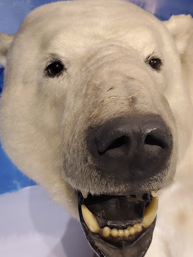 Science Museum «Kentucky Science Center», reviews and photos, 727 W Main St, Louisville, KY 40202, USA