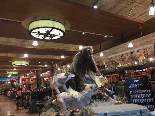 Outdoor Sports Store «Field & Stream», reviews and photos, 520 Clock Tower Way, Crescent Springs, KY 41017, USA