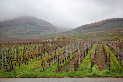 Vignobles de Kientzheim à Kaysersberg