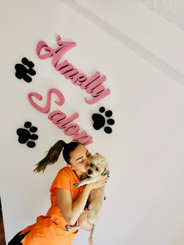Amelly Salon-Coafor canin, felin - <nil>