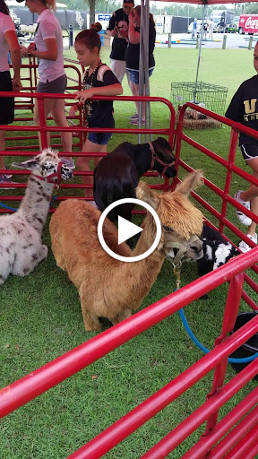 Stadium «Spectrum Stadium», reviews and photos, 4465 Knights Victory Way, Orlando, FL 32816, USA