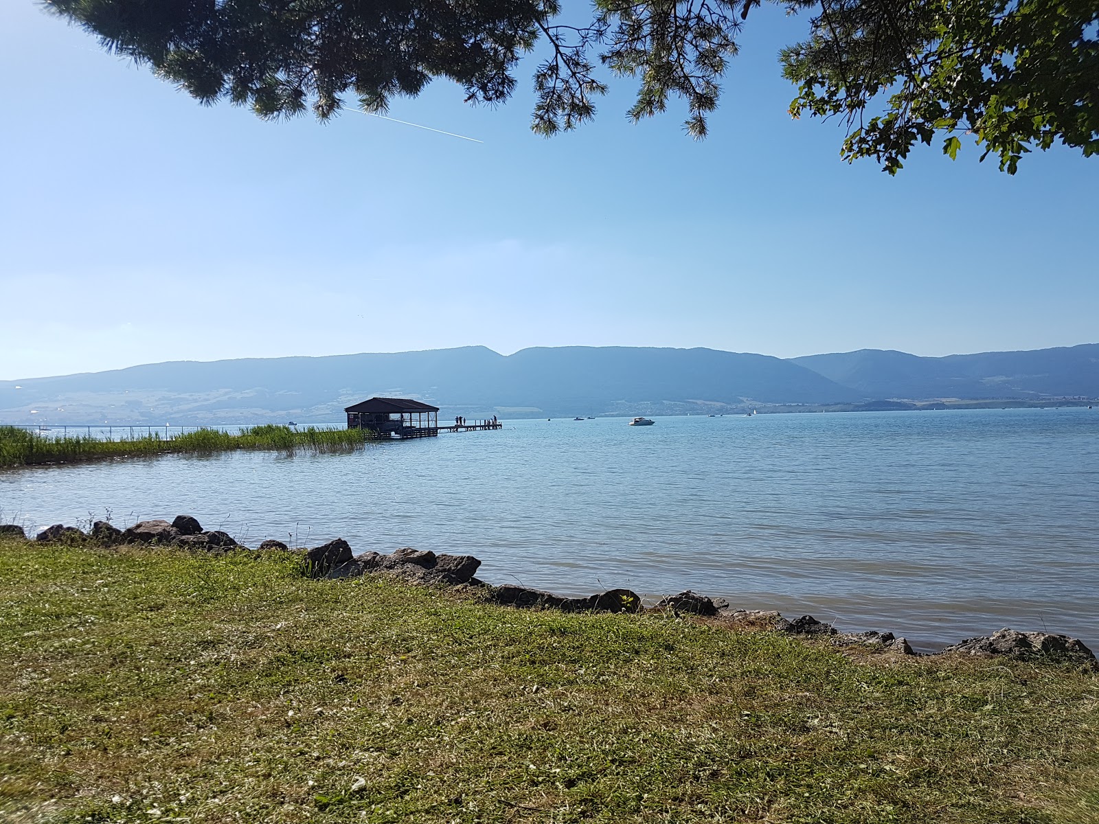 Forel plage'in fotoğrafı ve yerleşim