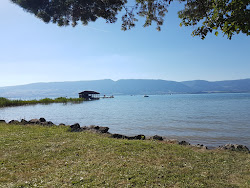 Forel plage'in fotoğrafı ve yerleşim